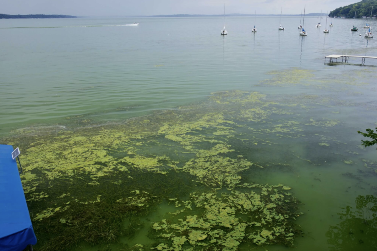 Lake Mendota's bacterial bloom in 2019